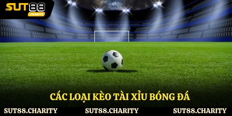 Các loại kèo tài xỉu bóng đá