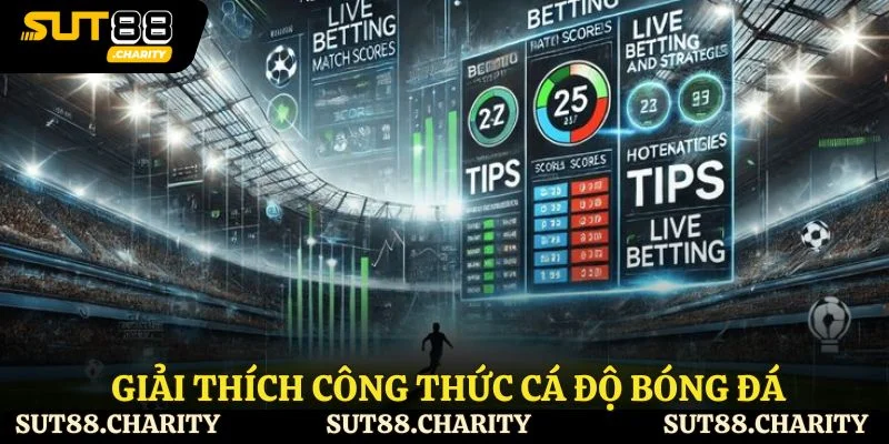 Giải thích công thức cá độ bóng đá