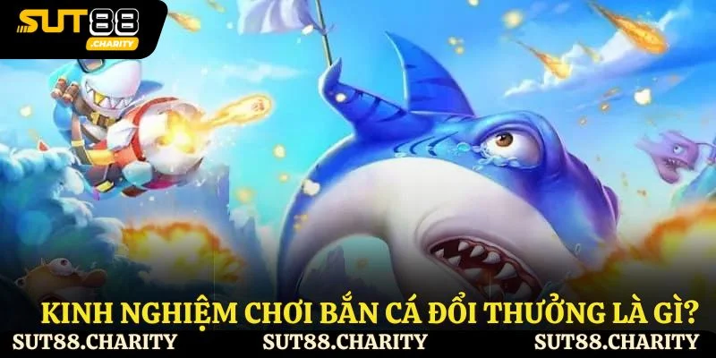 Kinh nghiệm chơi bắn cá đổi thưởng là gì?