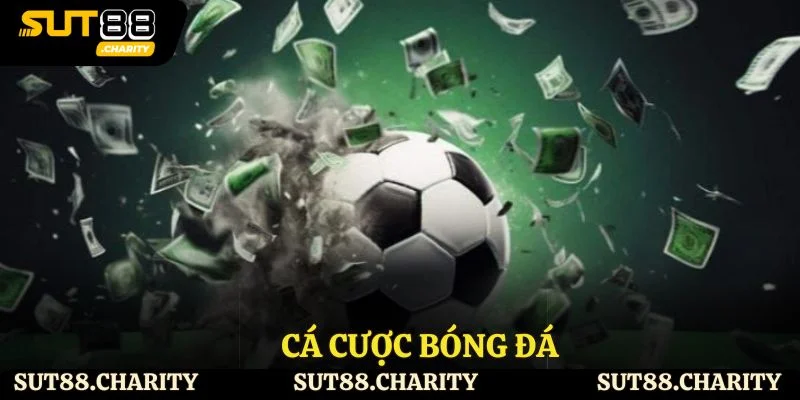 Cá Cược Bóng Đá - 1 Số Thông Tin Cơ Bản Bạn Nên Biết