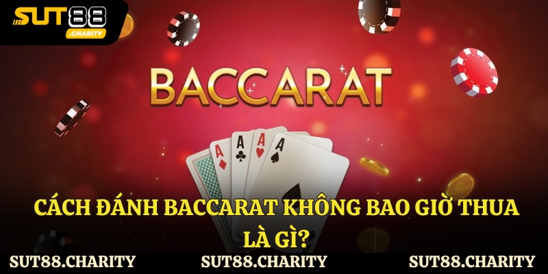Cách đánh baccarat không bao giờ thua là gì?