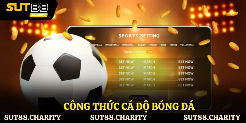 Công Thức Cá Độ Bóng Đá – Bí Quyết Cá Cược Hiệu Quả Nhất 