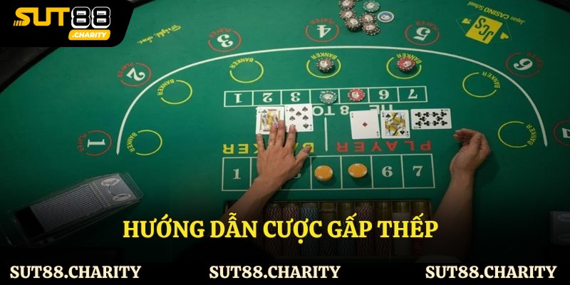 Hướng dẫn cược gấp thếp