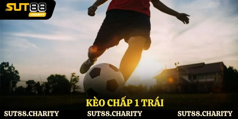 Kèo Chấp 1 Trái - Cách Đọc Kèo Và Bắt Kèo Hiệu Quả  
