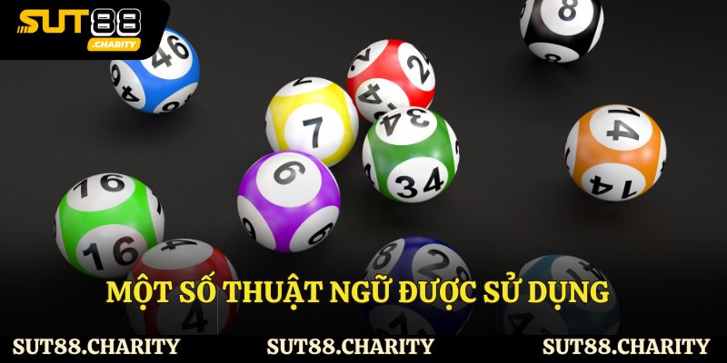 Một số thuật ngữ được sử dụng