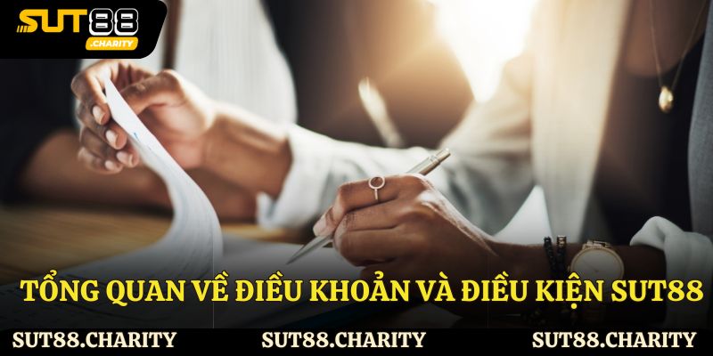 Tổng quan về chính sách